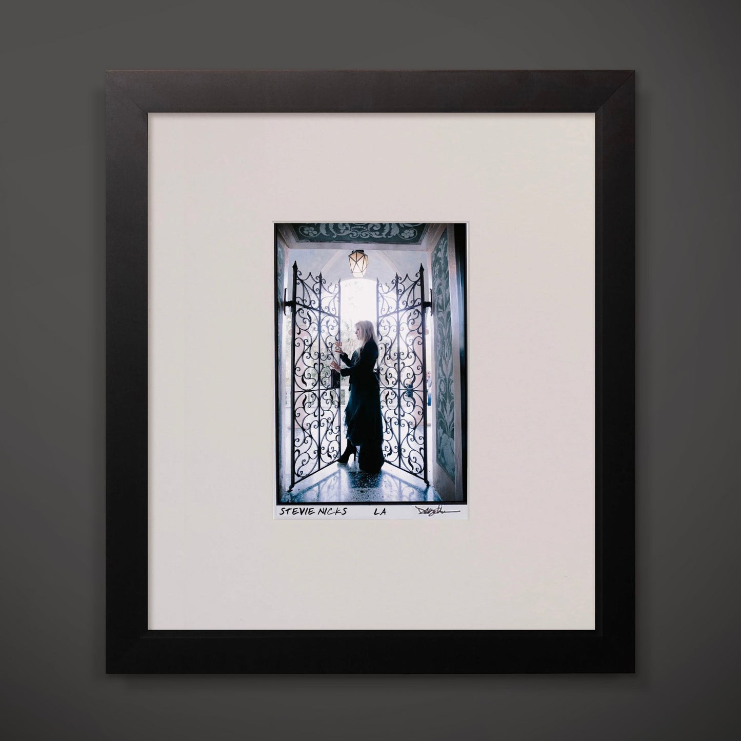 Stevie Nicks (Los Angeles, 2014) Framed 8x10