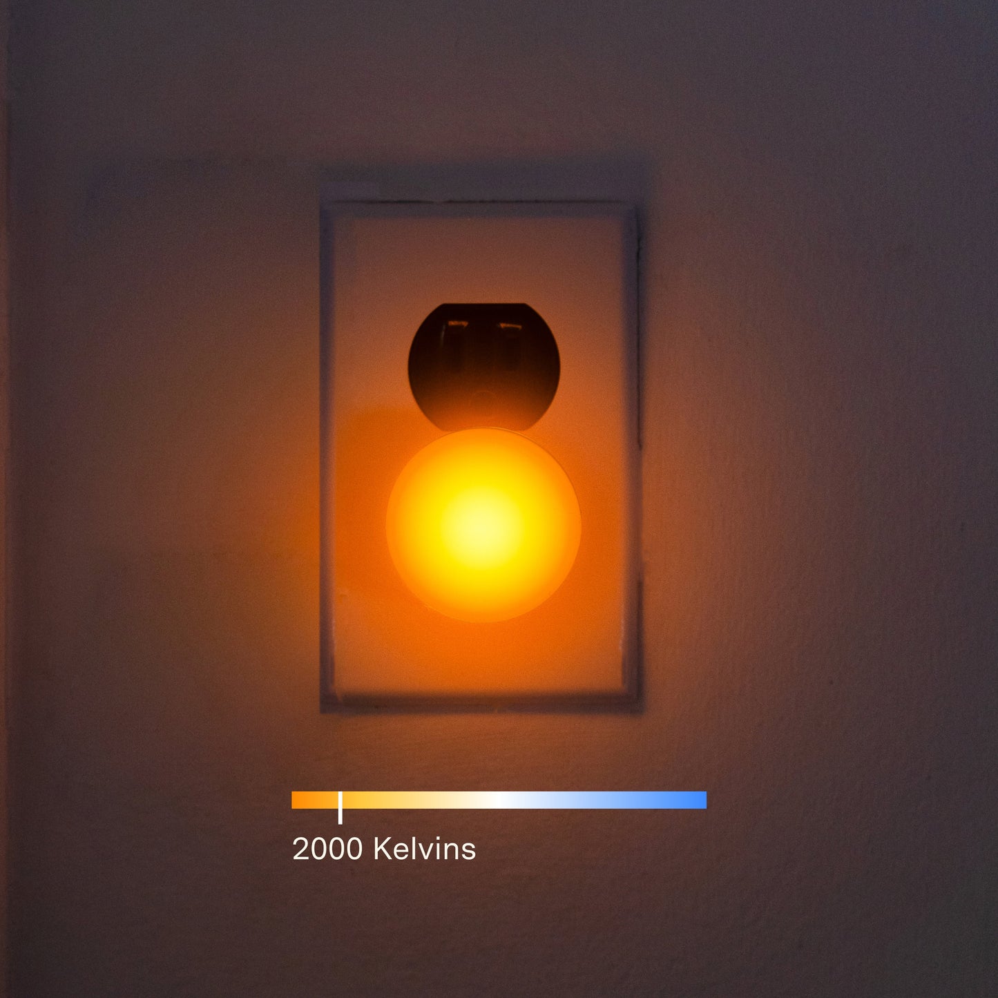 Night Light