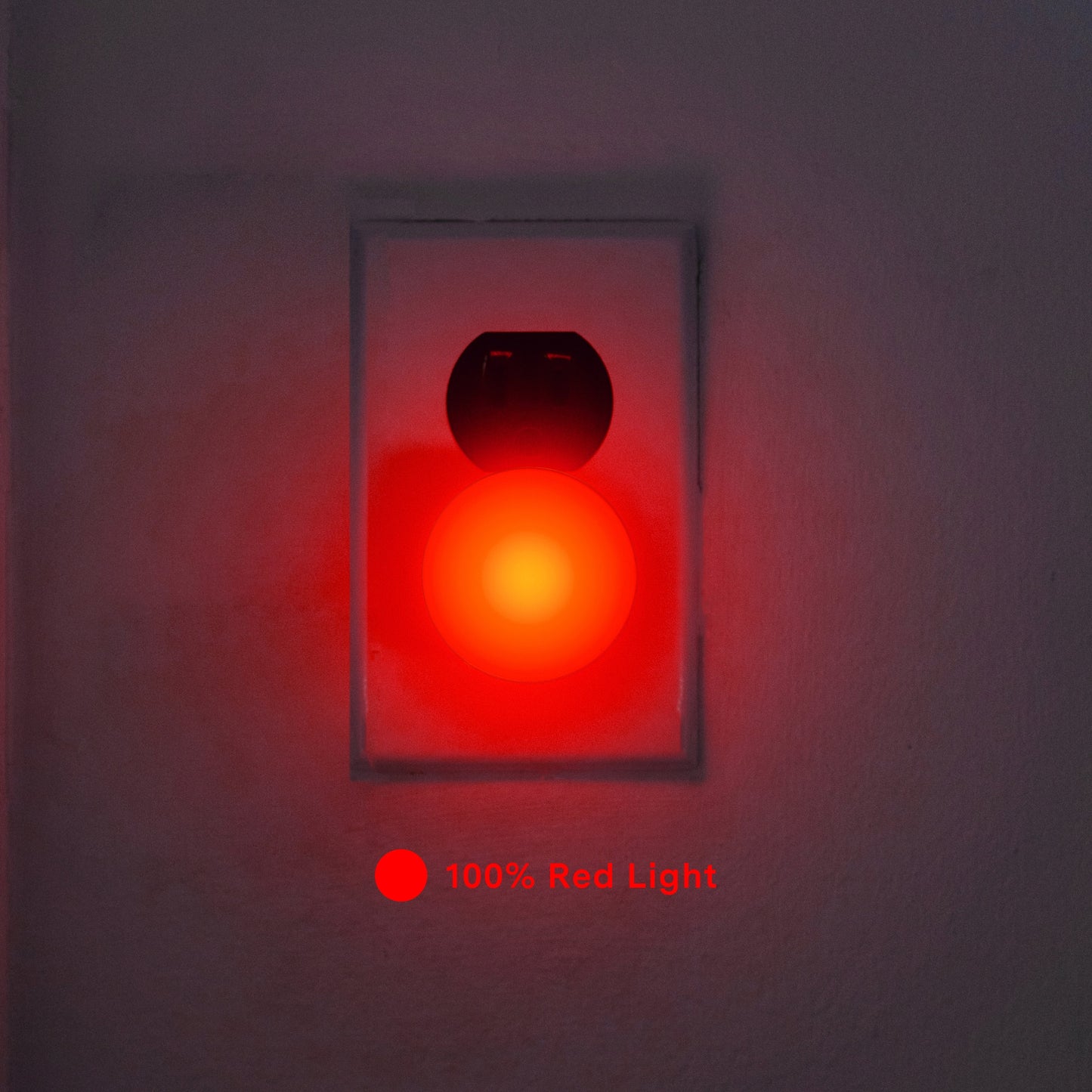 Night Light