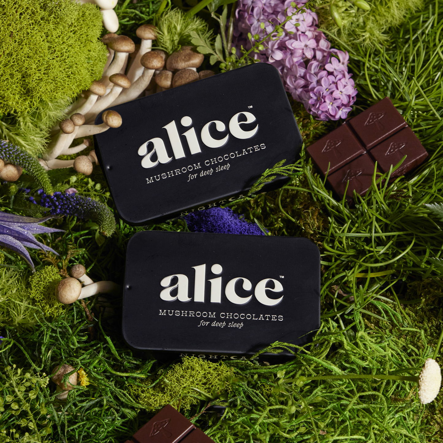 nightcap mushroom chocolates