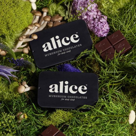 nightcap mushroom chocolates