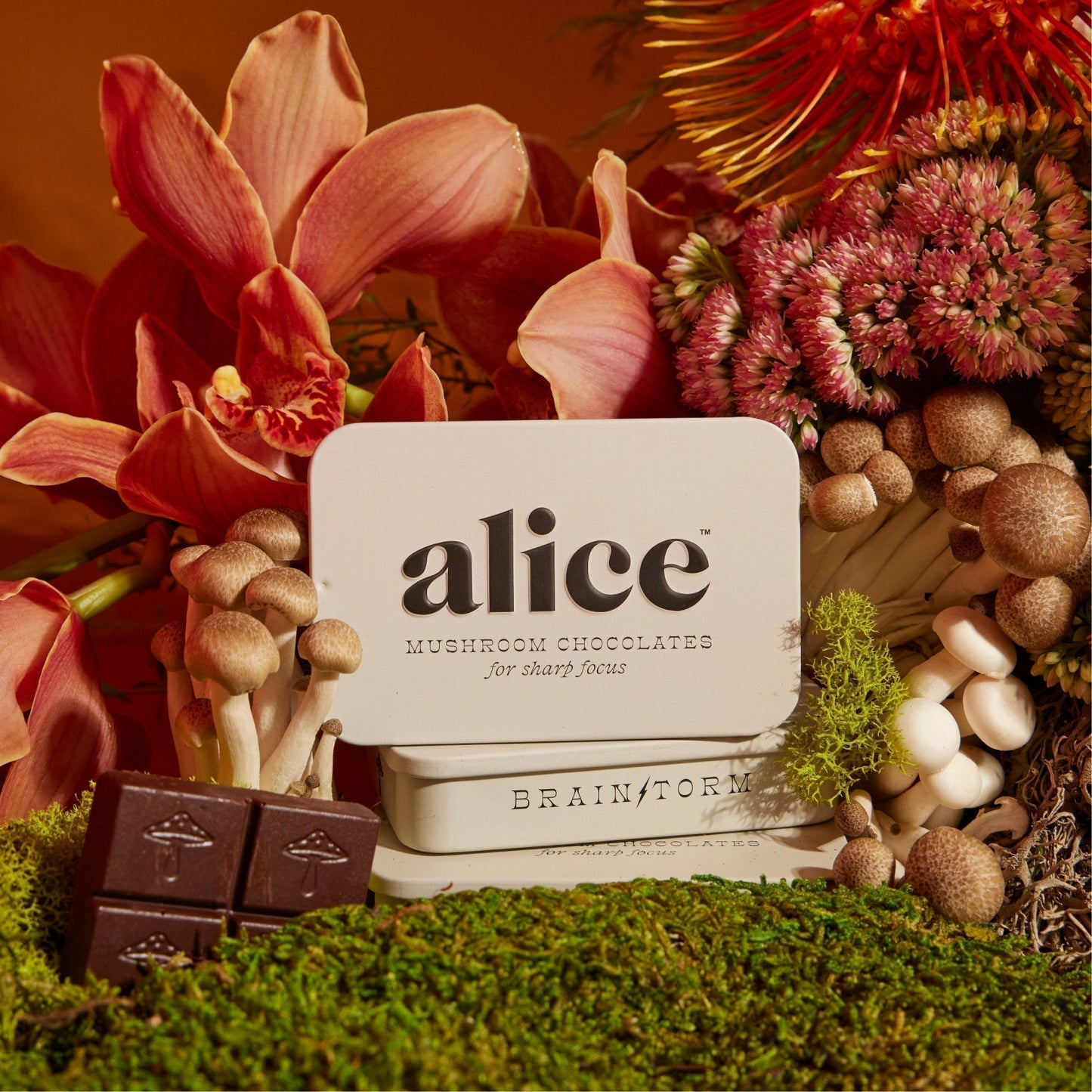 Brainstorm mushroom chocolates
